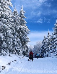 3 activités hivernales à faire à Montréal et ses environs