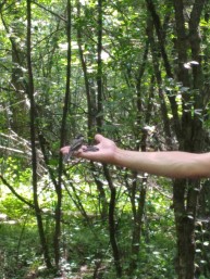 Découvrez le Refuge Faunique Marguerite-D'Youville: une oasis naturelle à 30 minutes de Montréal