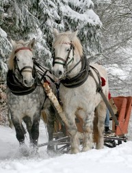 Découvrir la ville de Québec en hiver