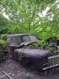 Le Jardin Daniel A. Séguin : Un eden botanique et pédagogique à Saint-Hyacinthe