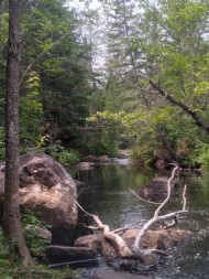 Le Parc de la Rivière Doncaster