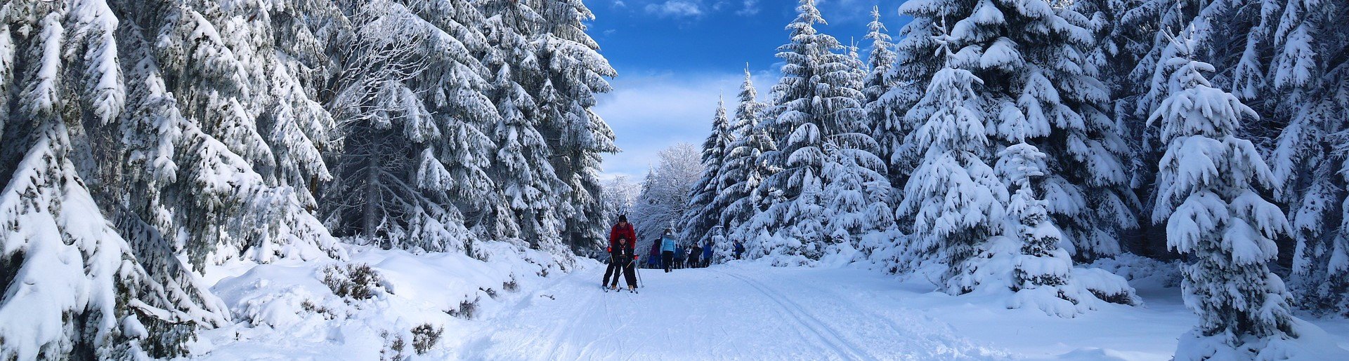 activité québec